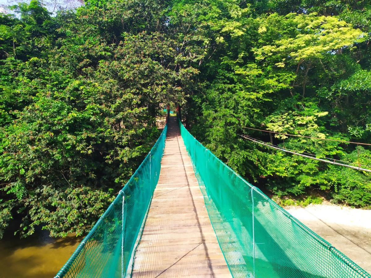 Serrano Tayrona Lodge เอลไซโน ภายนอก รูปภาพ