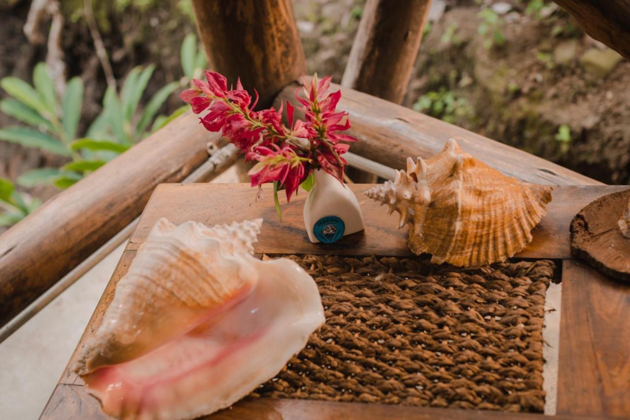 Serrano Tayrona Lodge เอลไซโน ภายนอก รูปภาพ
