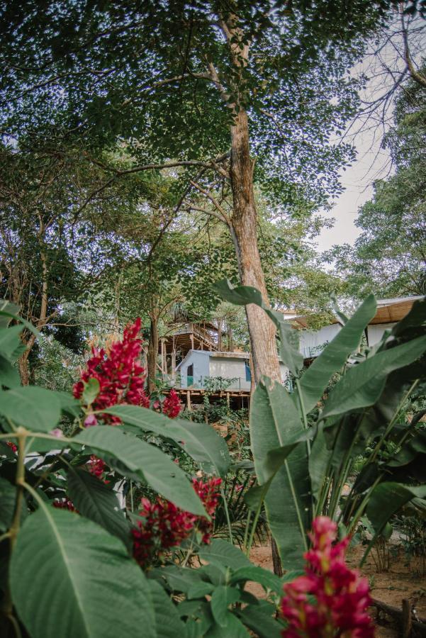 Serrano Tayrona Lodge เอลไซโน ภายนอก รูปภาพ