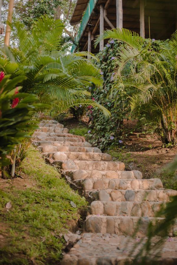 Serrano Tayrona Lodge เอลไซโน ภายนอก รูปภาพ
