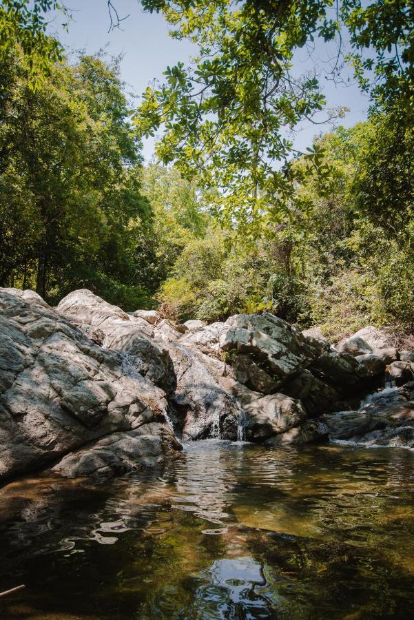 Serrano Tayrona Lodge เอลไซโน ภายนอก รูปภาพ