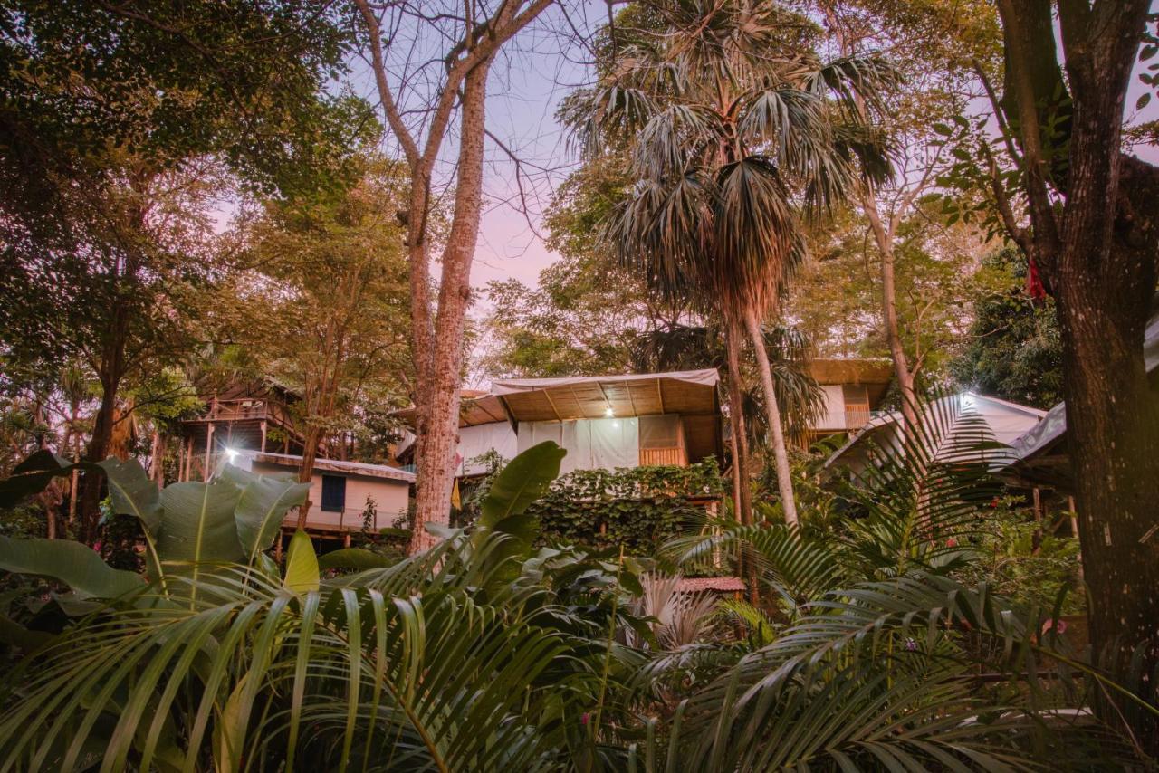 Serrano Tayrona Lodge เอลไซโน ภายนอก รูปภาพ