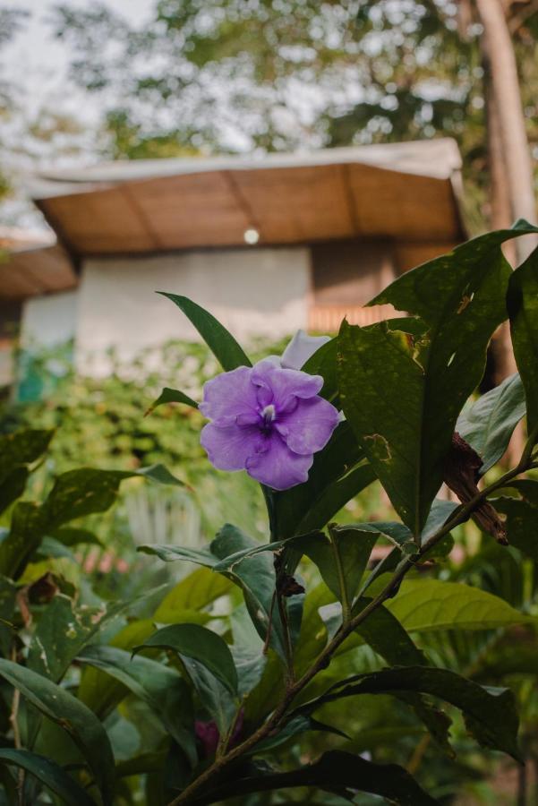 Serrano Tayrona Lodge เอลไซโน ภายนอก รูปภาพ